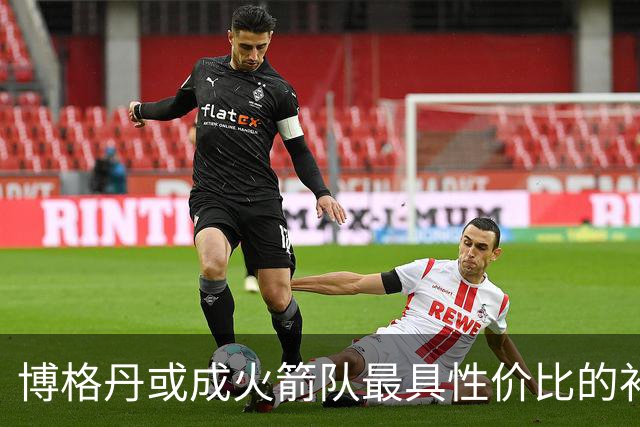 博格丹或成火箭队最具性价比的补强 关键在于健康状况与使用方式